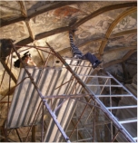 2010 Miholcsa Gyula a csikmindszenti templom falkpeinek restaurlst filmezi